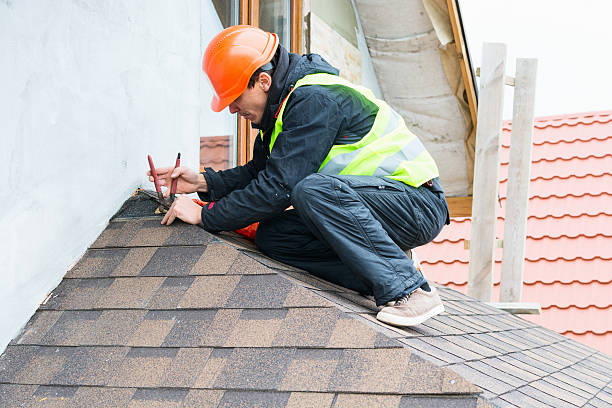 Best Roof Gutter Cleaning  in Leonardo, NJ